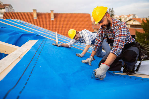 Professional Roofing Contractor in Denver, CO