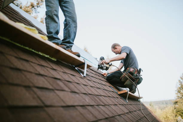 Best Gutter Installation and Roofing  in Denver, CO